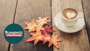 Coffee pod holder bunnings